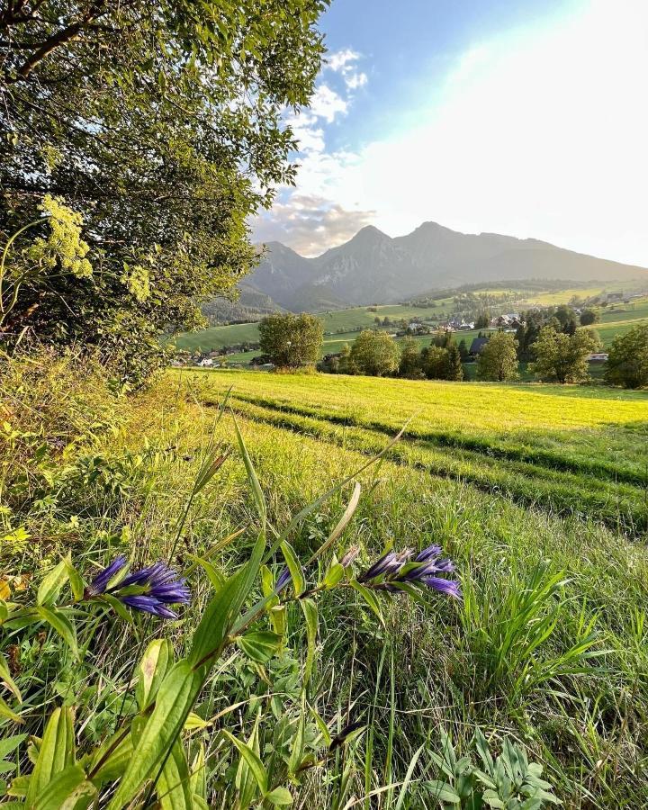 Vila Chalúpka u líšky Elišky Ždiar Exteriér fotografie